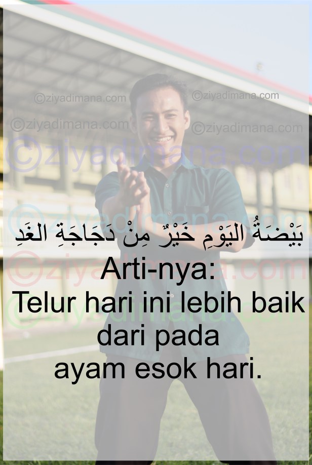 Hak Cipta Milik Penuh Ninja Muslim Ziyad Imana (ziyadimana.com)